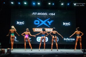 FIT-MODEL +164 раунд 1
